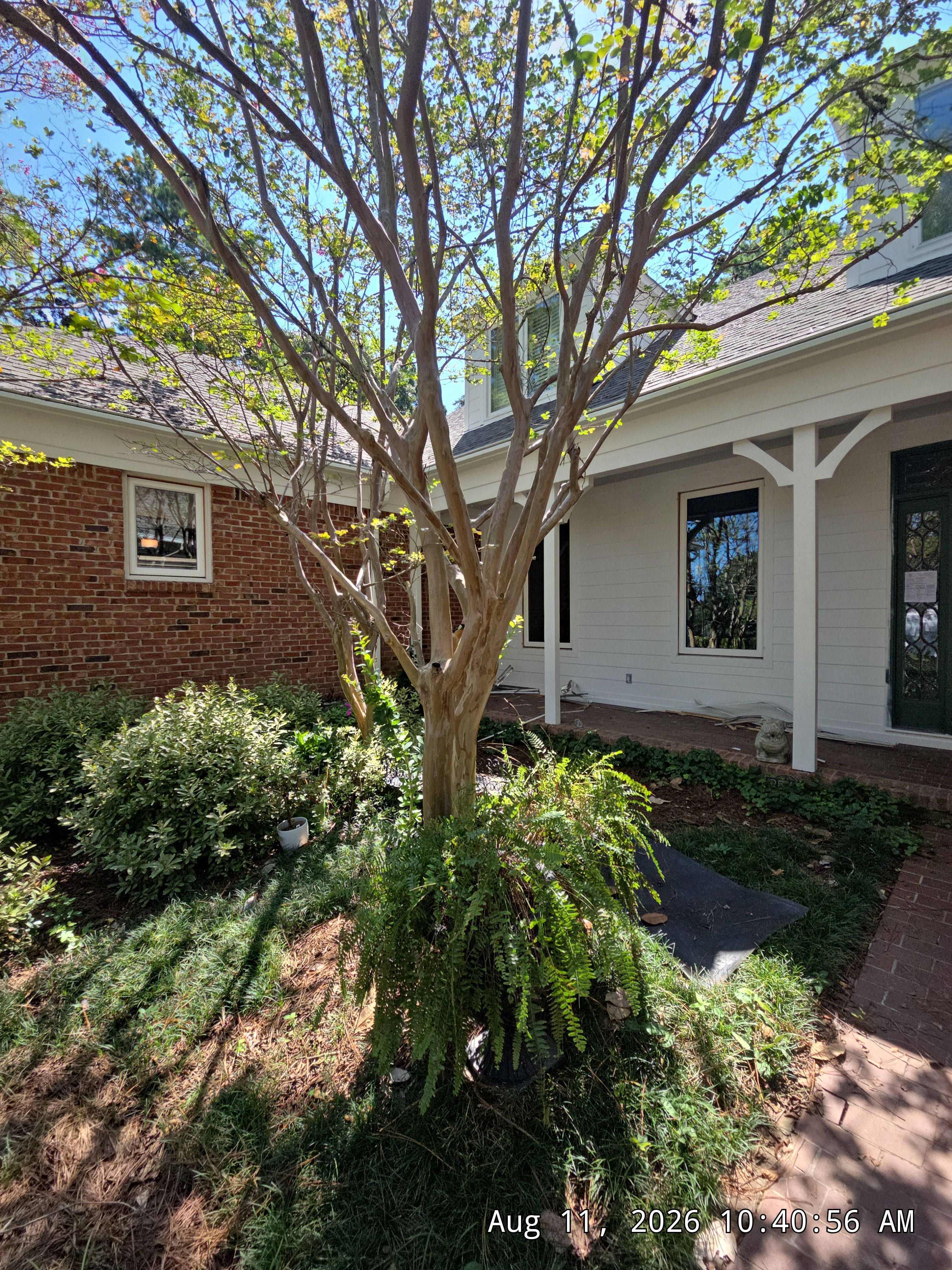 Ackerman Project in Vestavia Hills by The Window Source