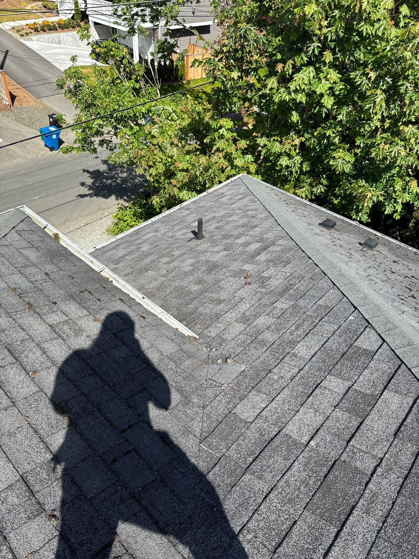 Project in Seattle by Peaks and Valleys Construction