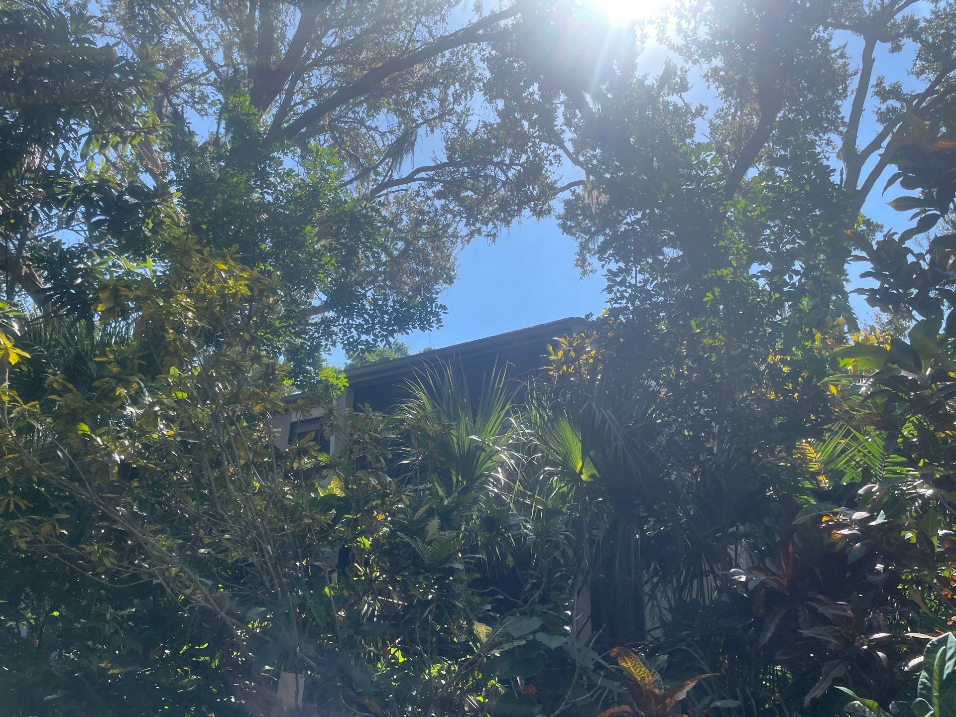 White Gutters Repair and Installation in Sarasota FL by Gutter Professors