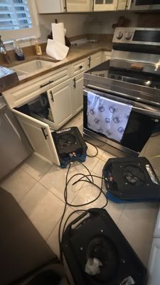Flood Damage Cleanup — Bonita Springs, FL