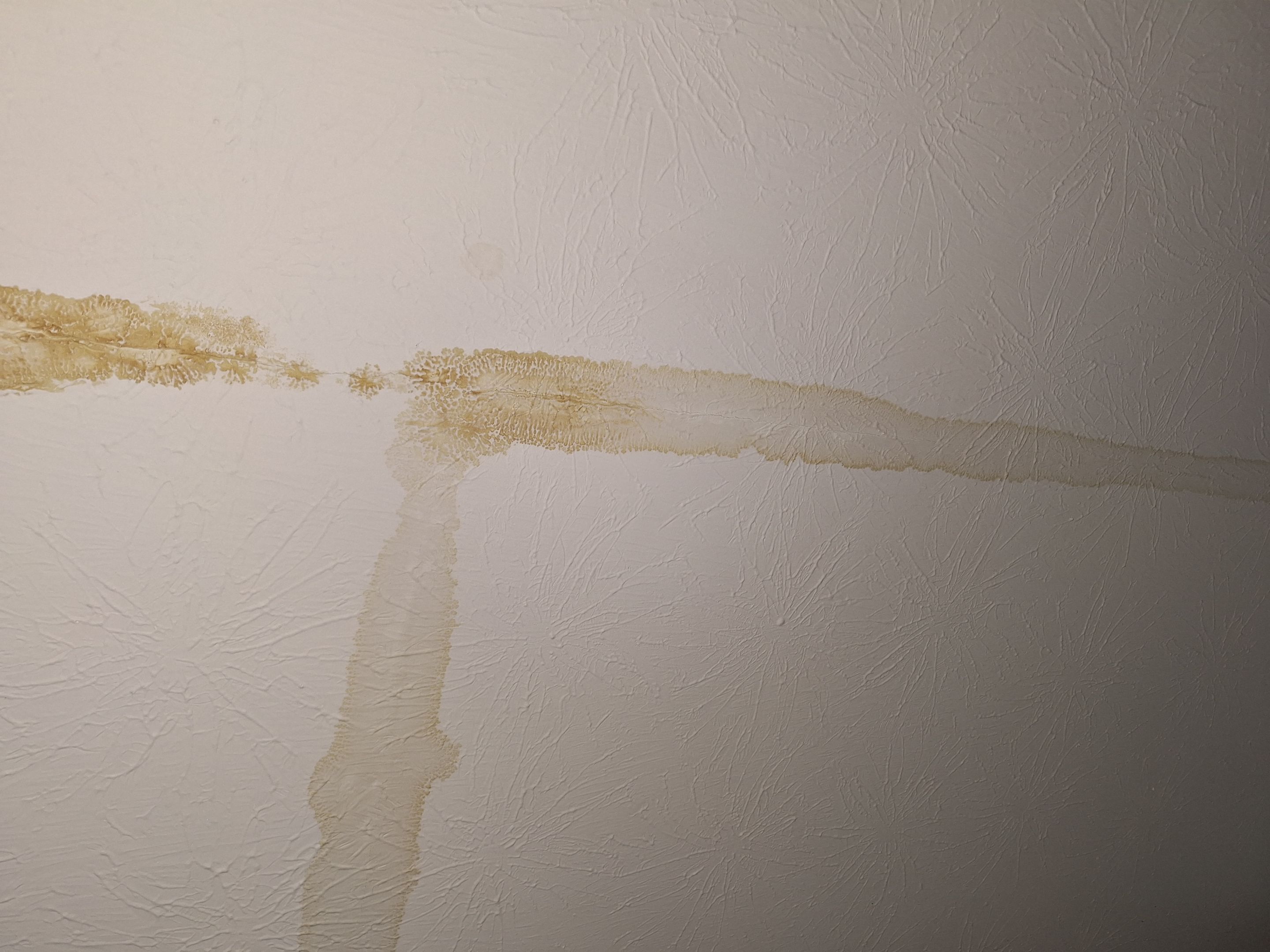 Emergency Service Mitigation in Georgetown, IN by ANR Restoration