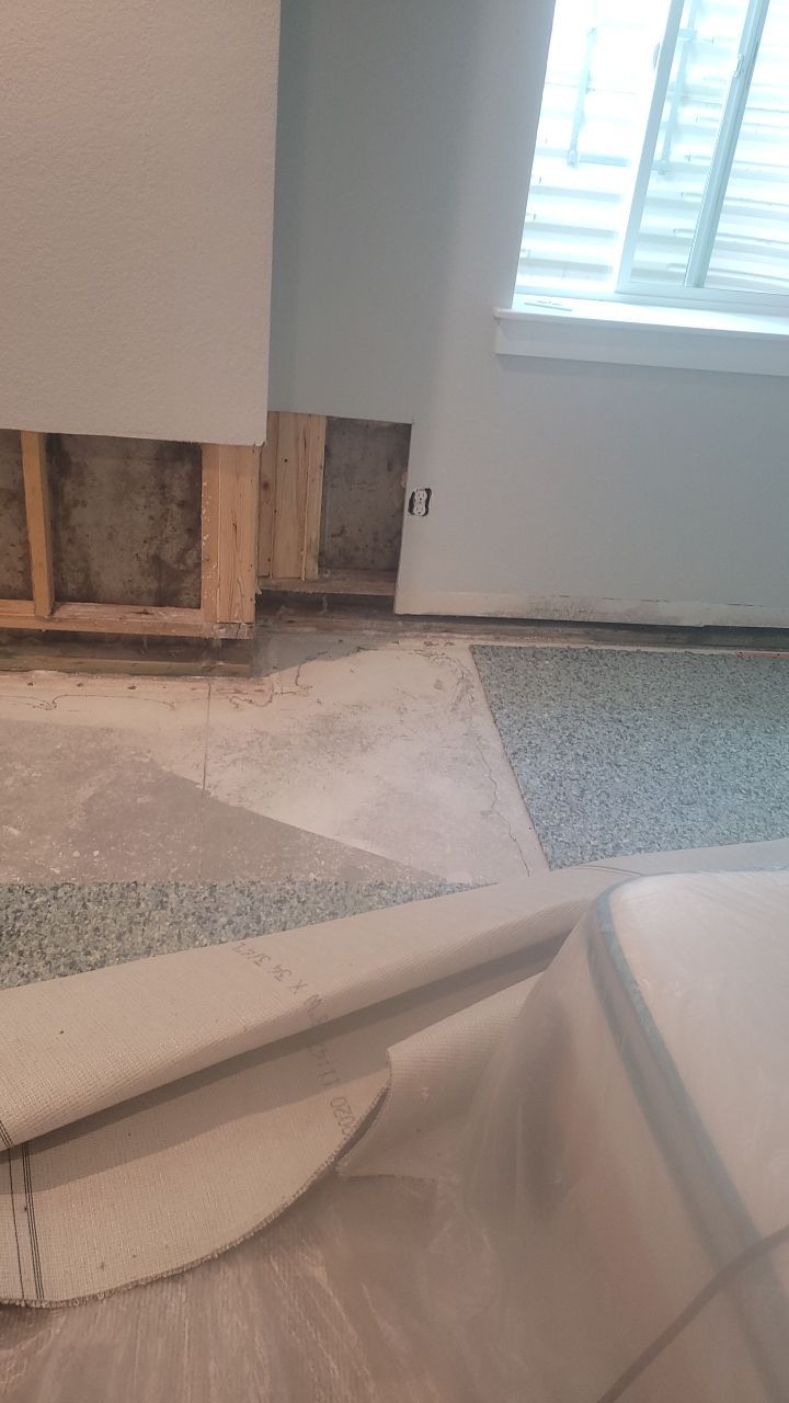 Mold Remediation  by Accountable Home Services