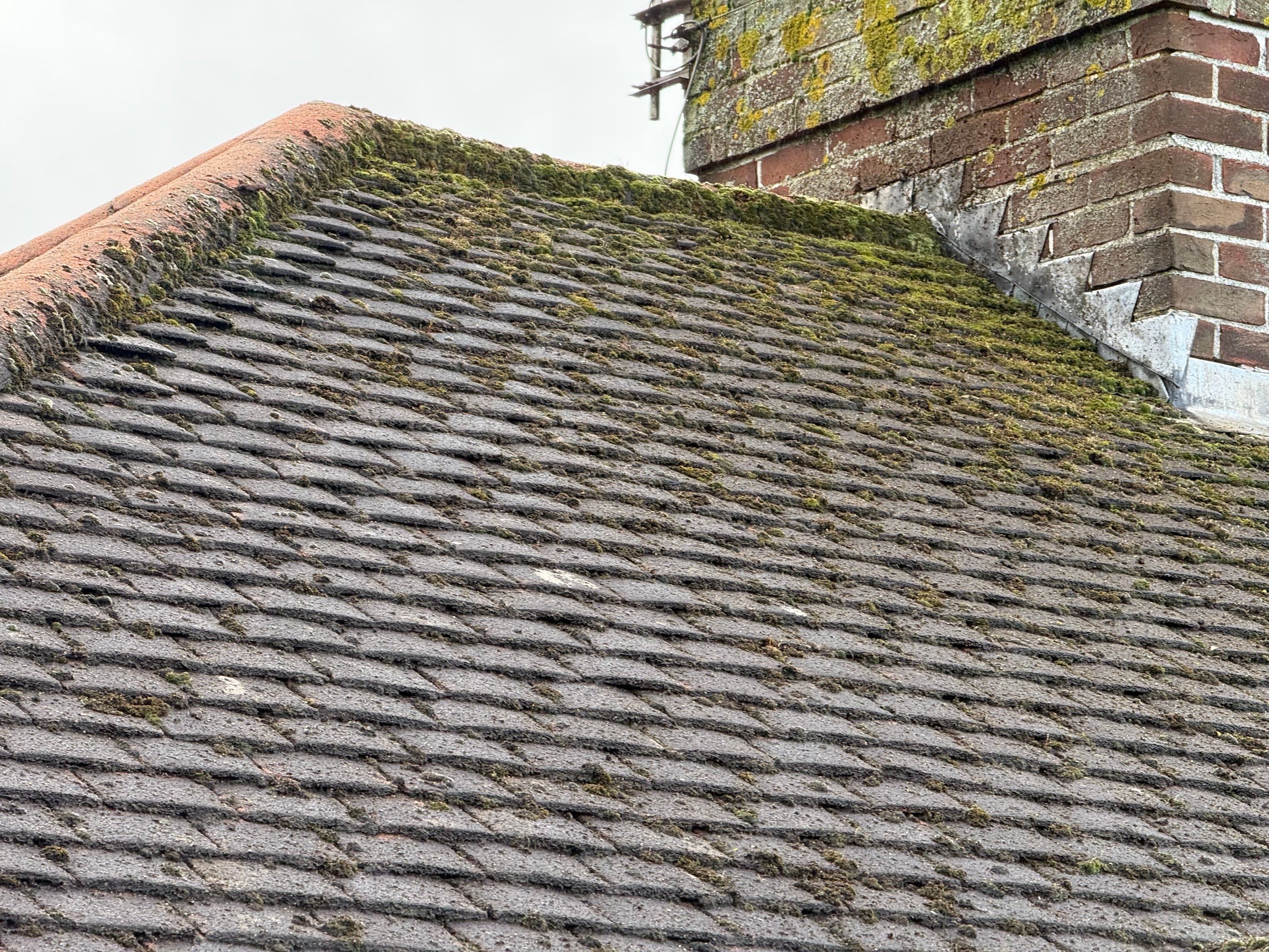 Roof Clean Epsom by Ges Exterior Cleaning ltd