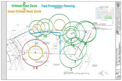 Arborist Report for Tree Protection Fencing and Root Zone Planning in Bellevue