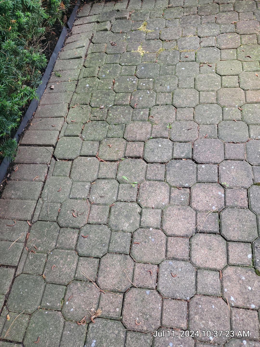 Brick paver repair, clean and seal by Northern Power Washing LLC.