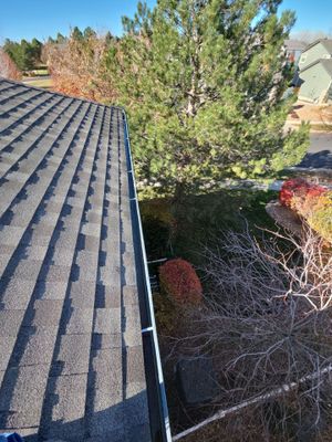 Gutter and Downspout Cleaning