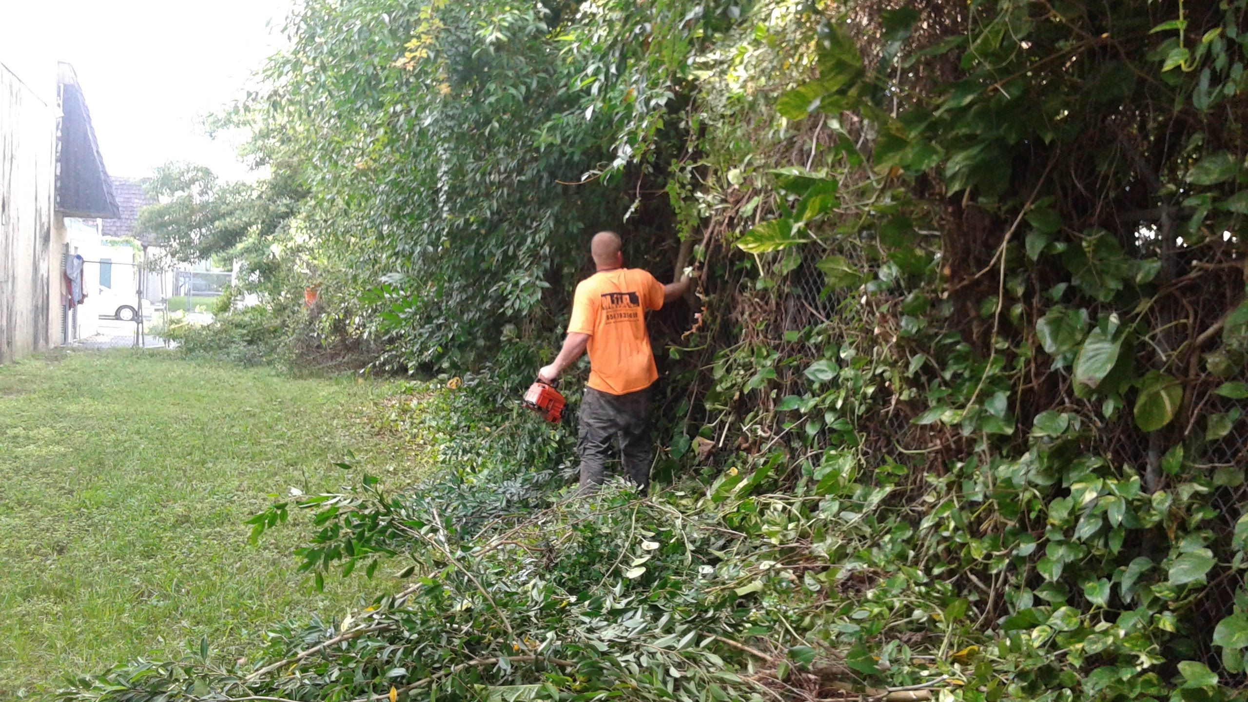 General Maintenance by 
M.A.B. Landscaping & Property Maintenance