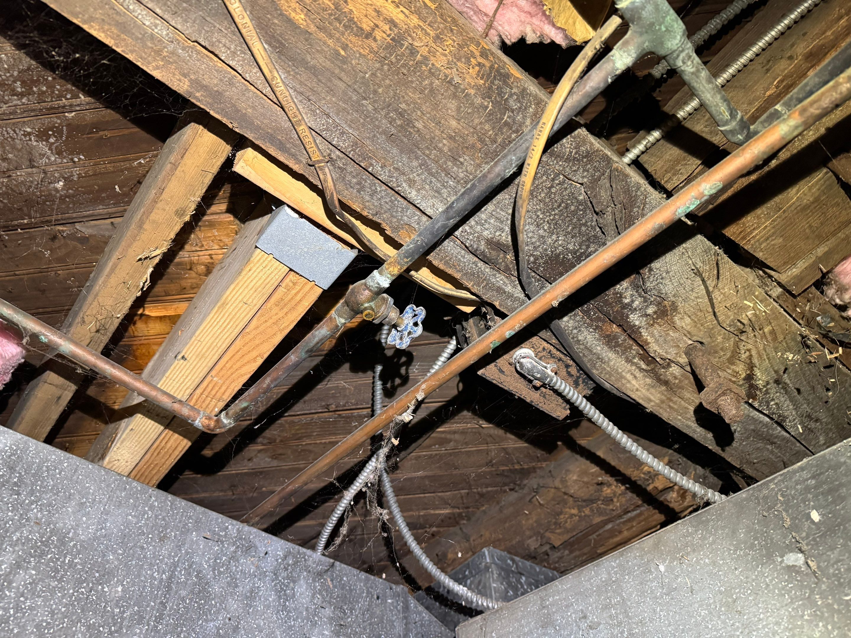 Mold Remediation (Basement) using Home Guarantee by Home Guarantee, LLC