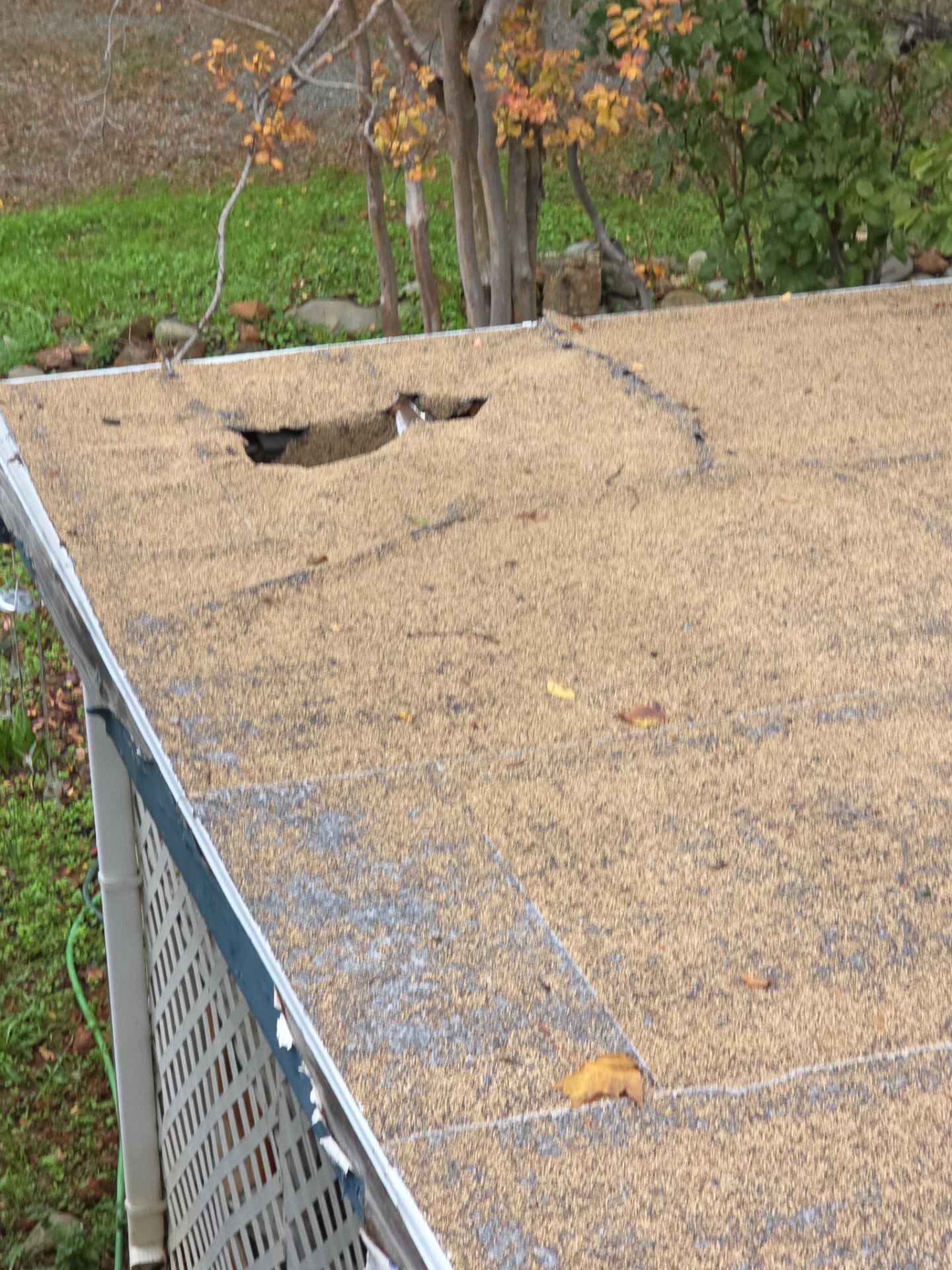 Roof Rejuvenation using Roof Maxx Treatment by Roof Maxx of Folsom