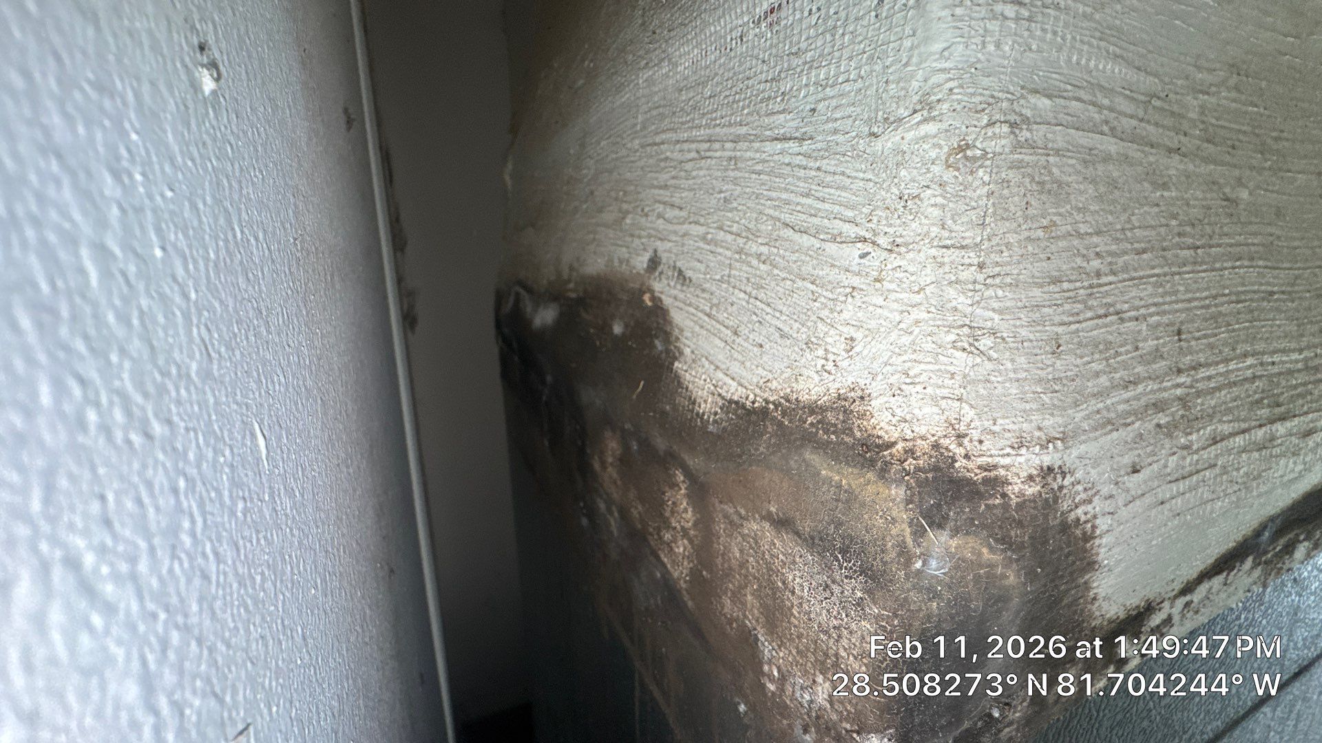 Air Duct Cleaning Dryer Vent Repair Sealed Plenum Clermont by Hygienic Air, Inc