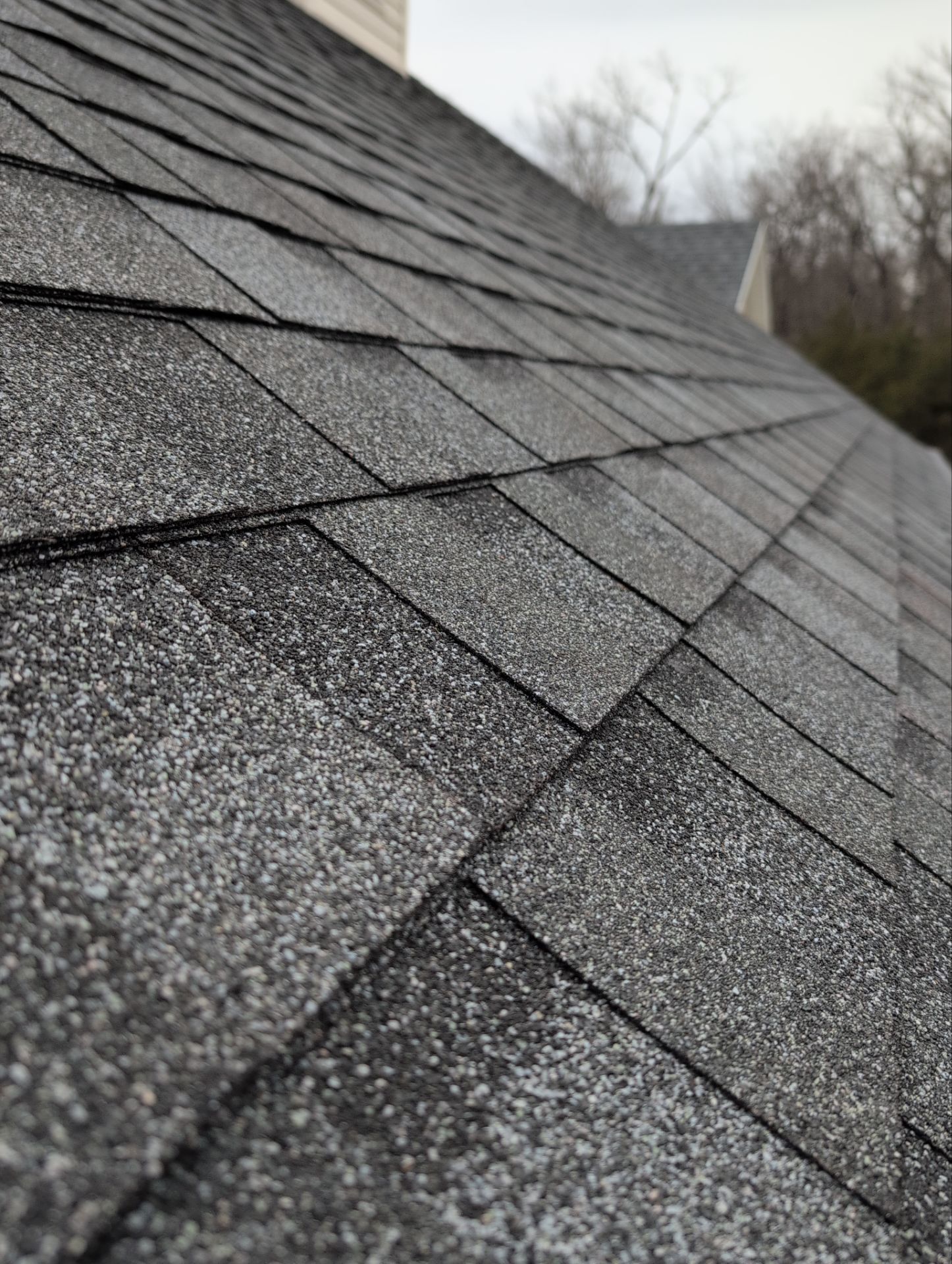 Roof Replacement & Gutter Guards in Galena by Table Rock Design + Build