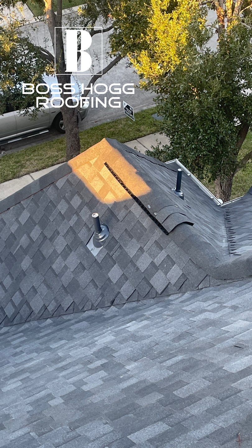 Sims B by Boss Hogg Roofing