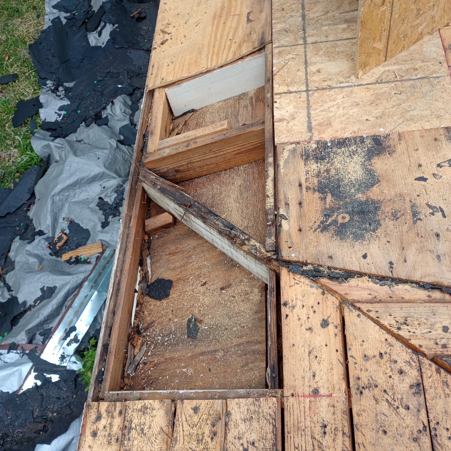 Superior Roofing Solutions: Atlas Pinnacle Pristine Installation by Talya Roofing
