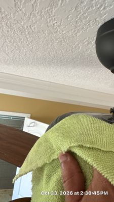 Mold Remediation — Bonita Springs, FL