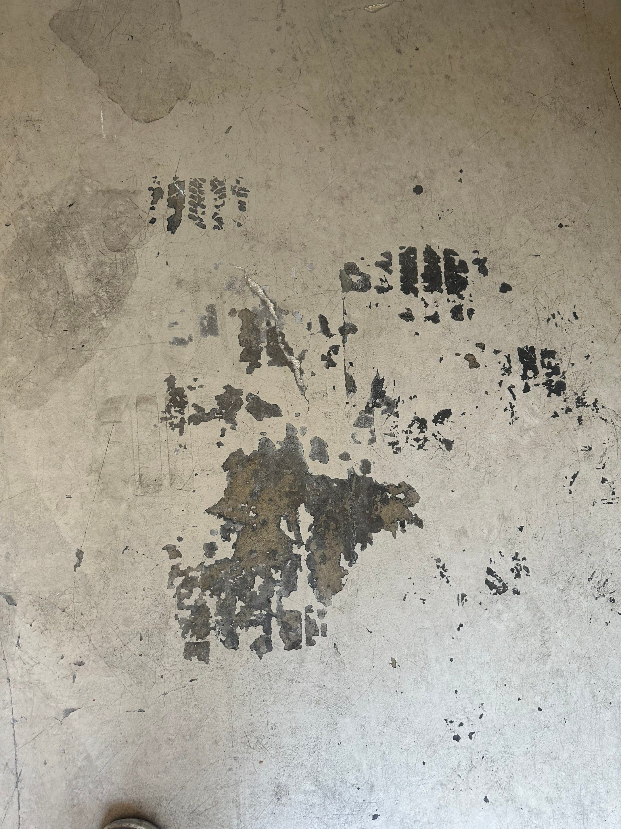 Sonterra, San Antonio by TORO Garage Co