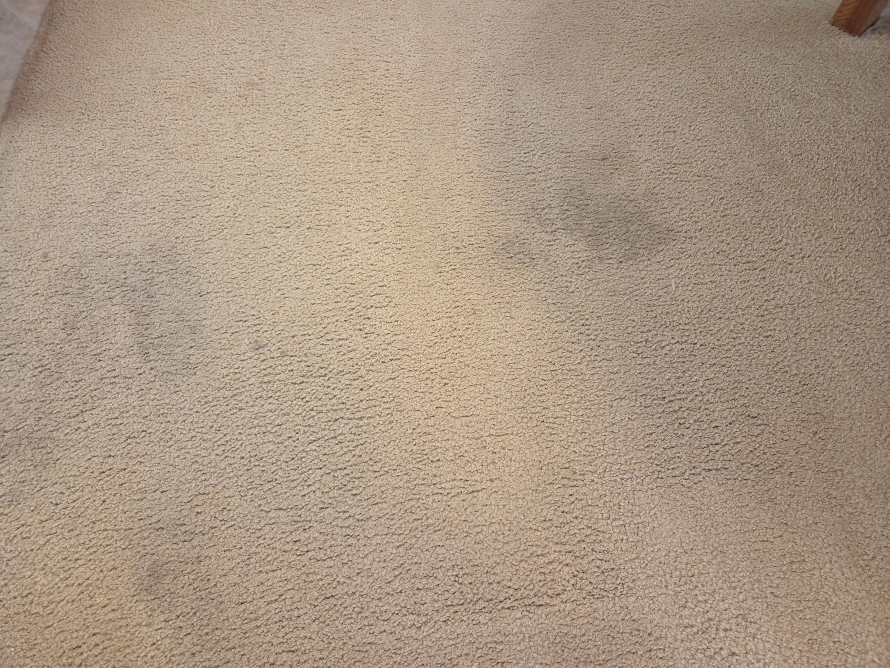 Carpet Cleaning and Stain Removal in Carmichael by Ardent Carpet Restore LLC