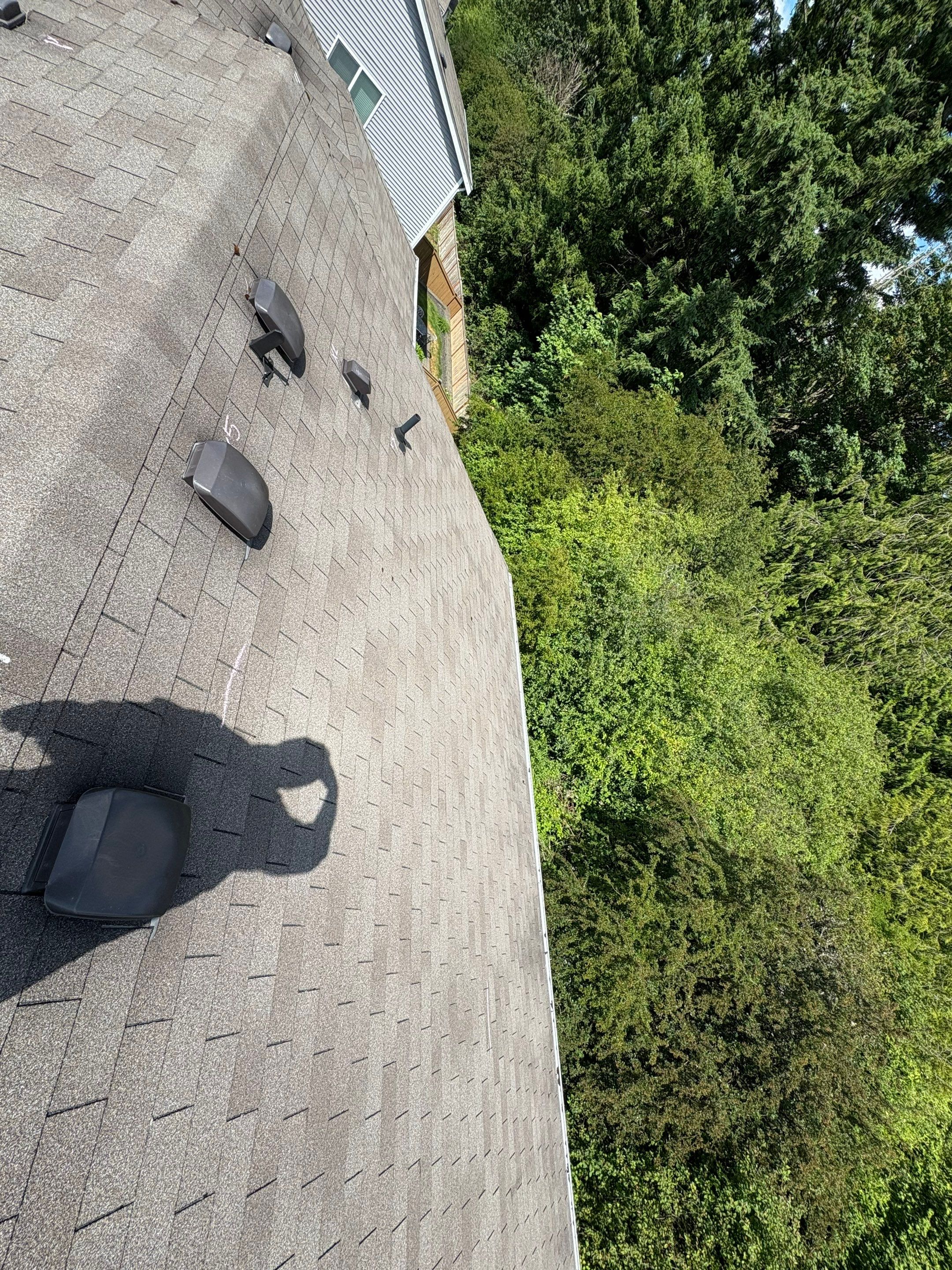 Spanaway WA, GAF Timberline NS, Weatherwood by Proline Roofing & Restoration LLC