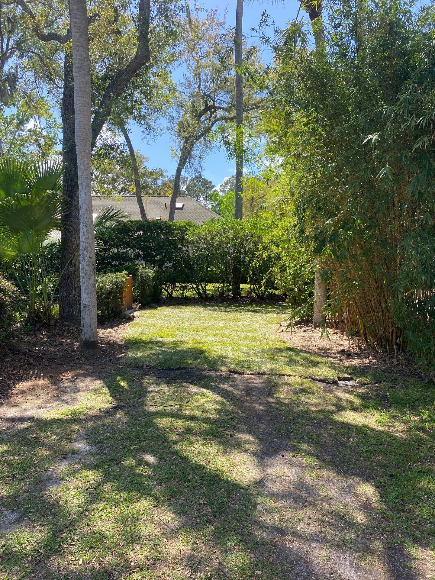 Residential | Sod Installation by ProGreen Services