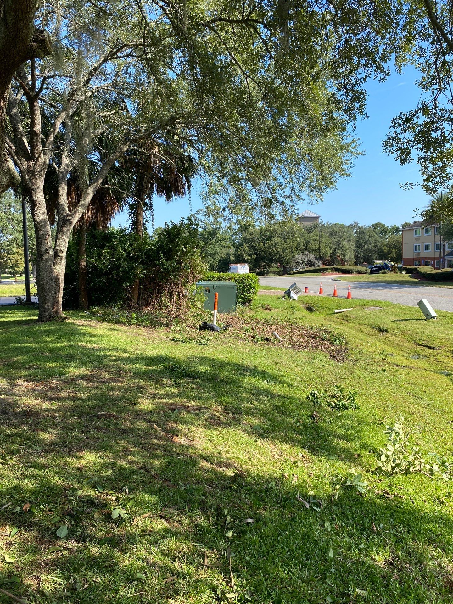 Tree & Shrub Removal | Marriott Hotel by ProGreen Services