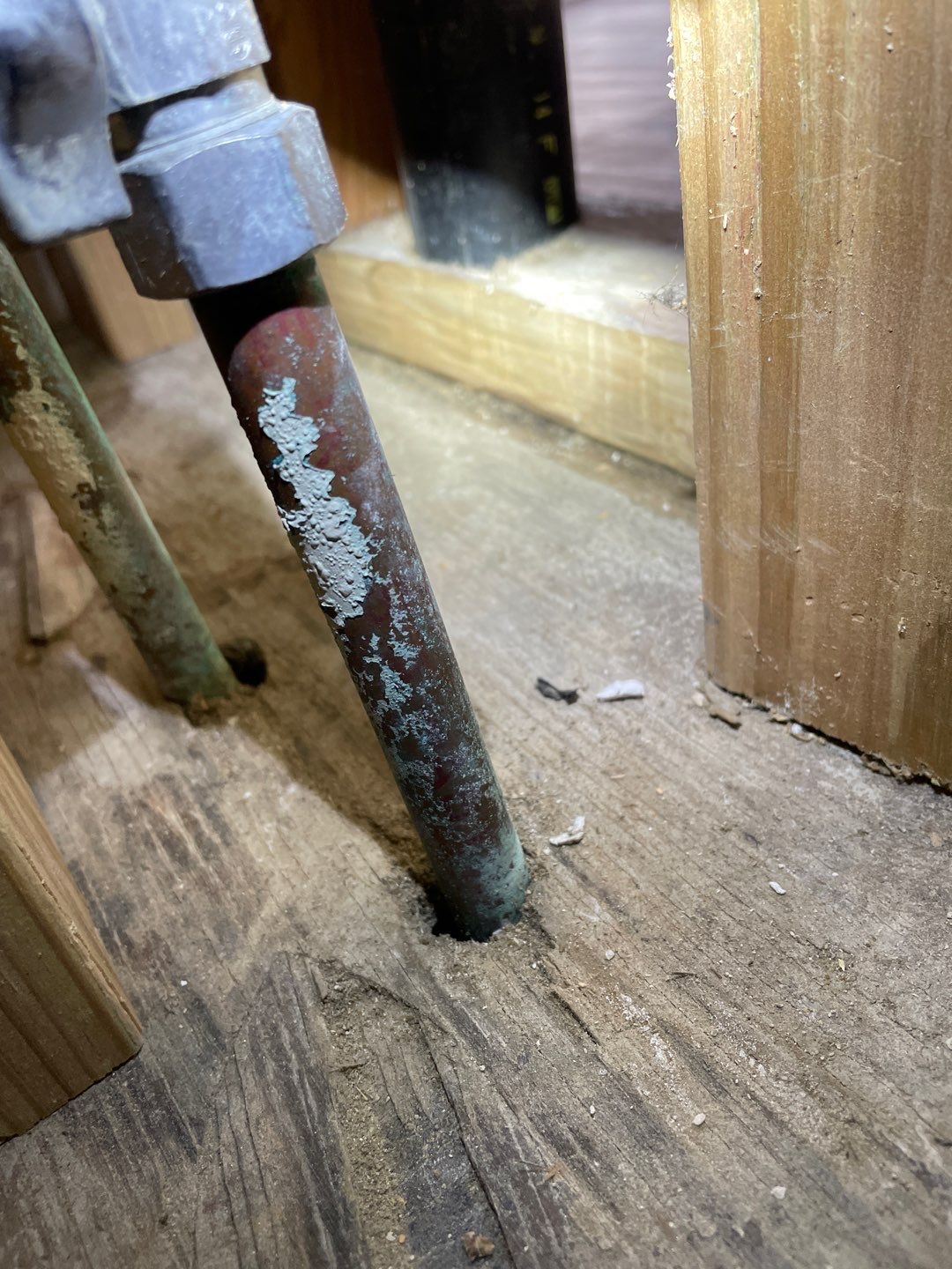 Mold Damage Project in Littleton by Accountable Home Services