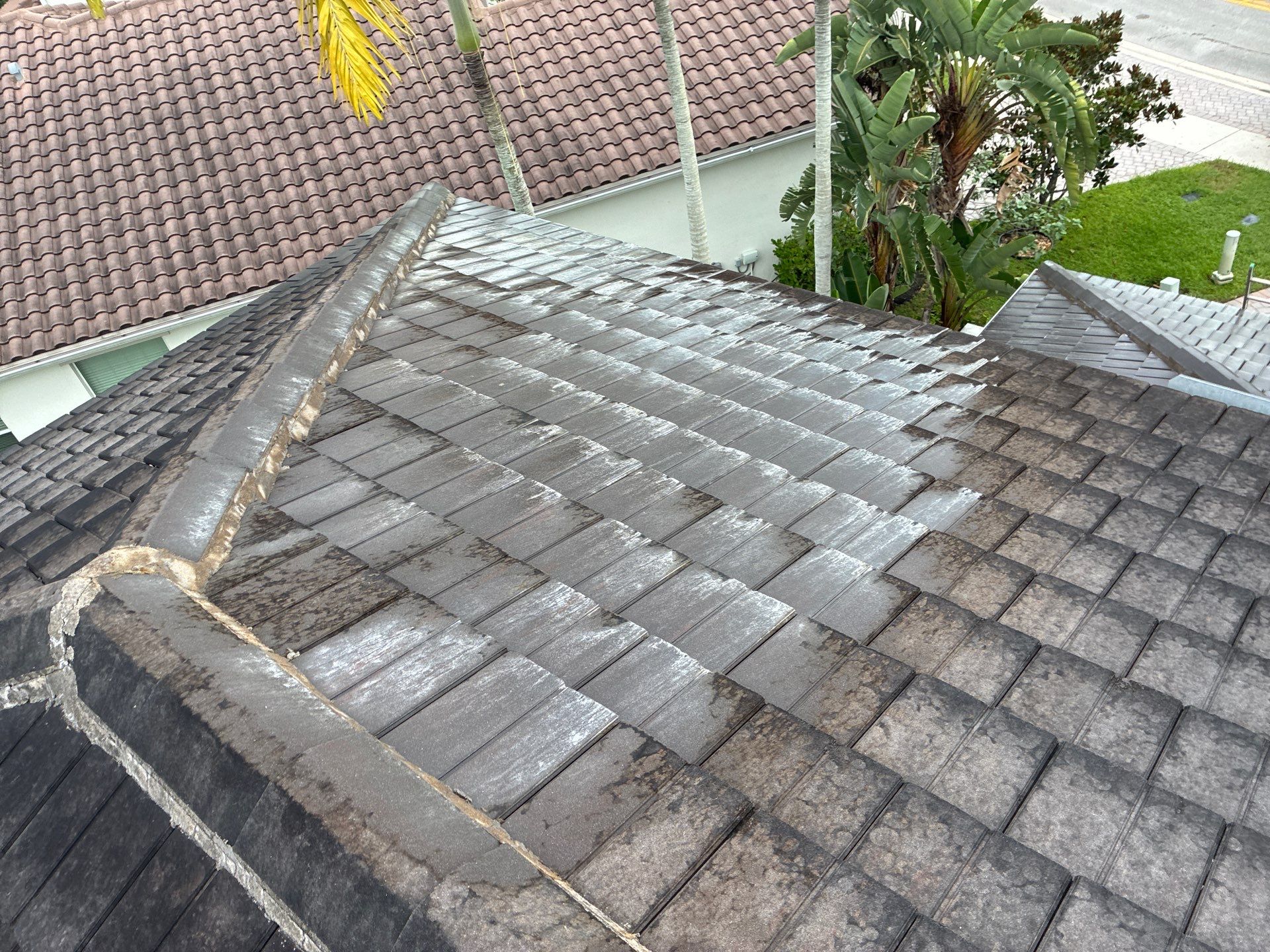 Heron Bay Parkland Painting by BKB Pressure Cleaning LLC