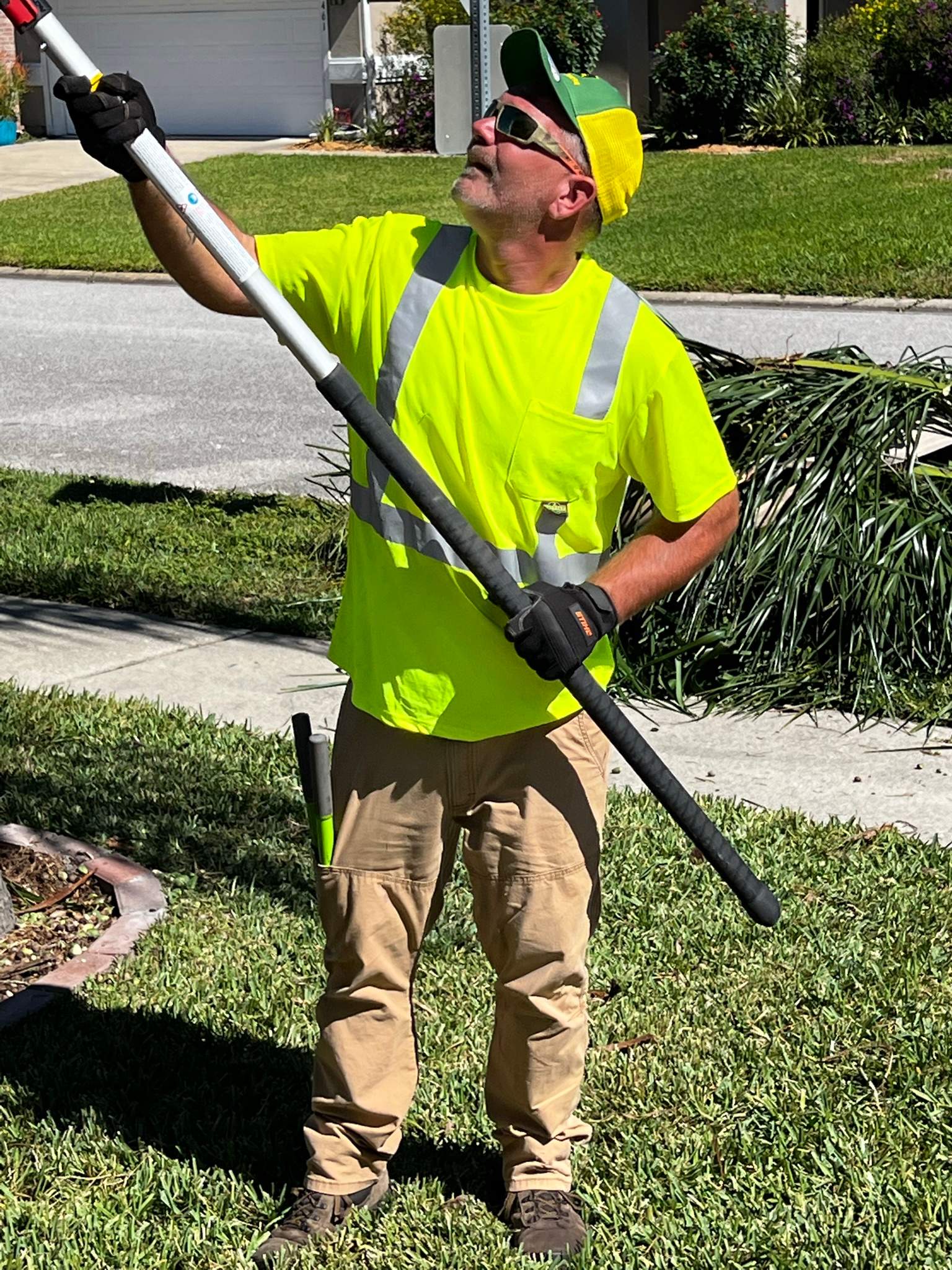 Palm Tree Trimming | Residential by ProGreen Services