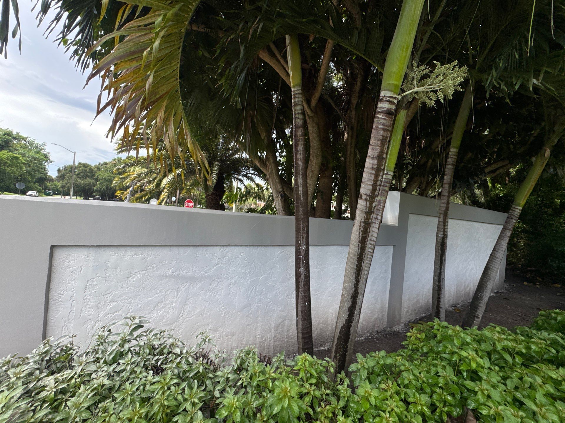 Project in West Palm Beach by Crush Development Services LLC