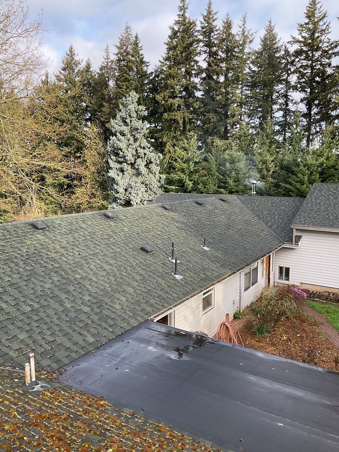 Roof Cleaning Moss Treatment by Willamette Outdoor Wash LLC