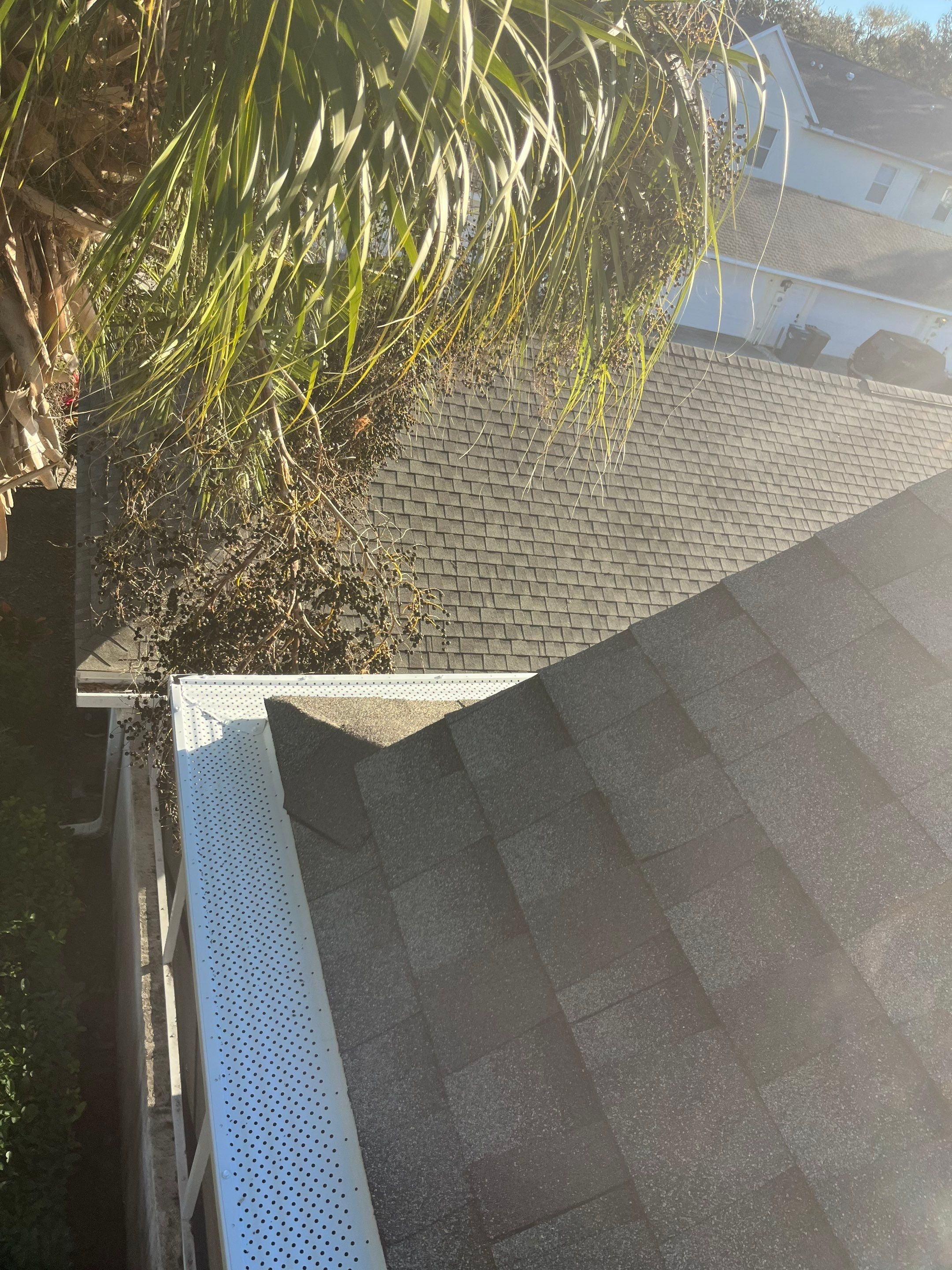 Gutter Cleaning Service in Fort Myers FL by Gutter Professors