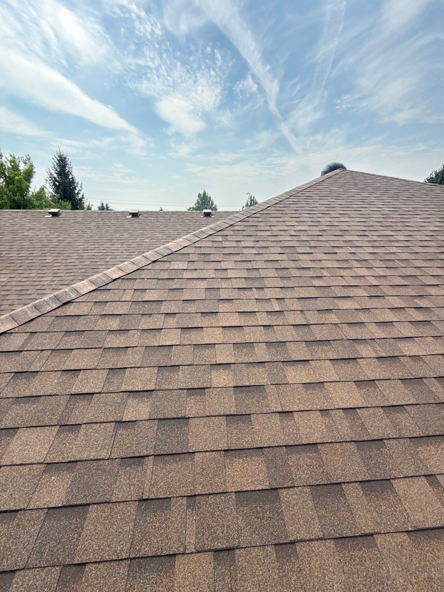 Boise Commercial Roof Replacement with Brown Architectural Shingles by Olive Roofing
