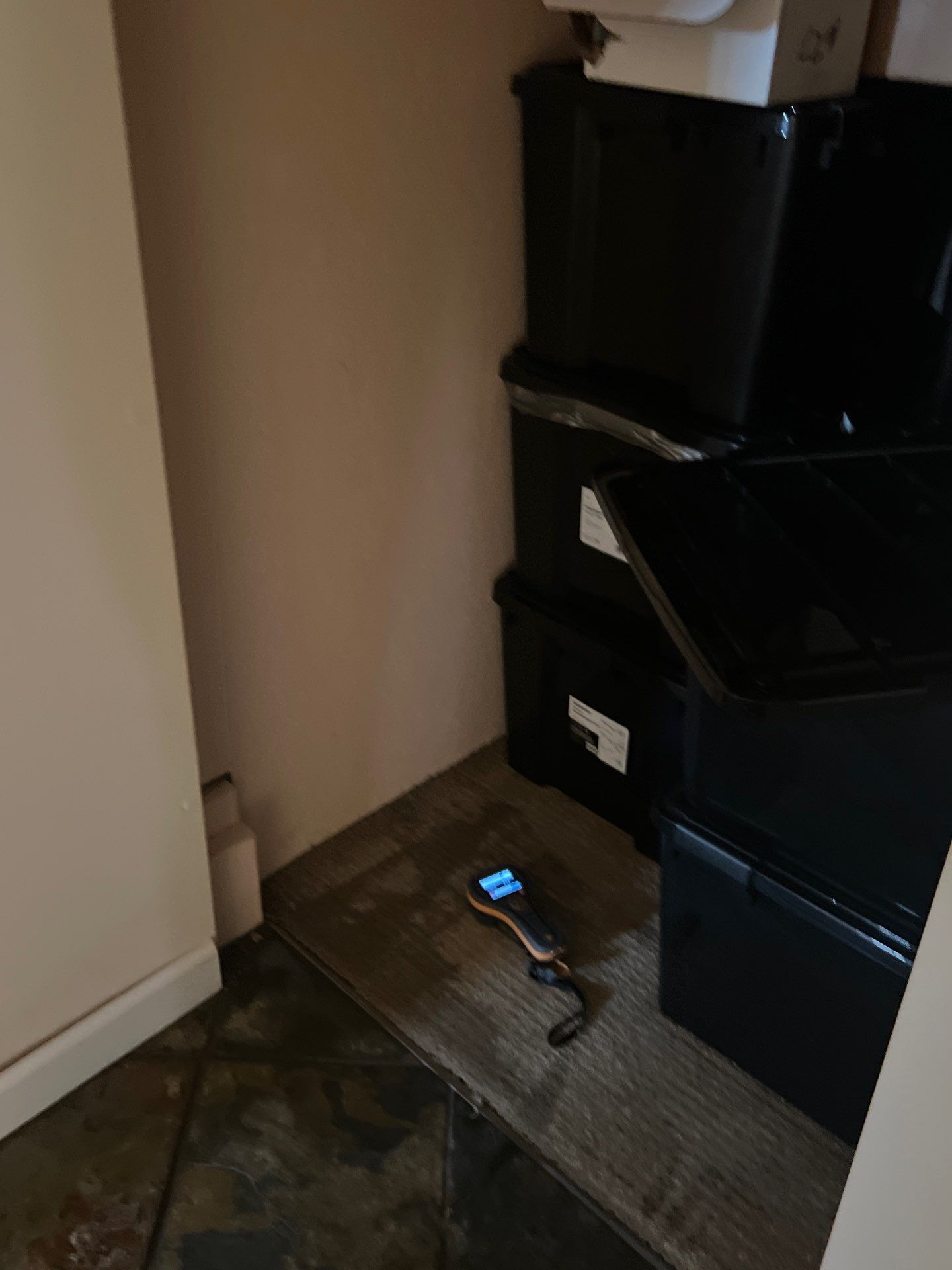 Project in Ann Arbor by EzDry Water Mitigation & Property Restoration