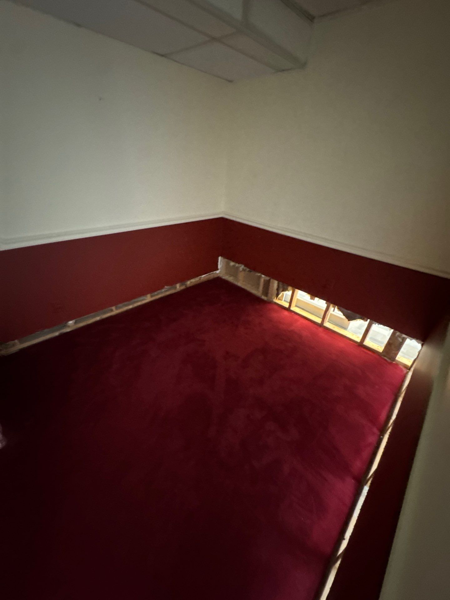 Basement Remediation by ANR Restoration