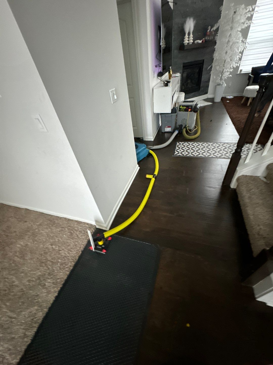 Project in South Lyon by EzDry Water Mitigation & Property Restoration