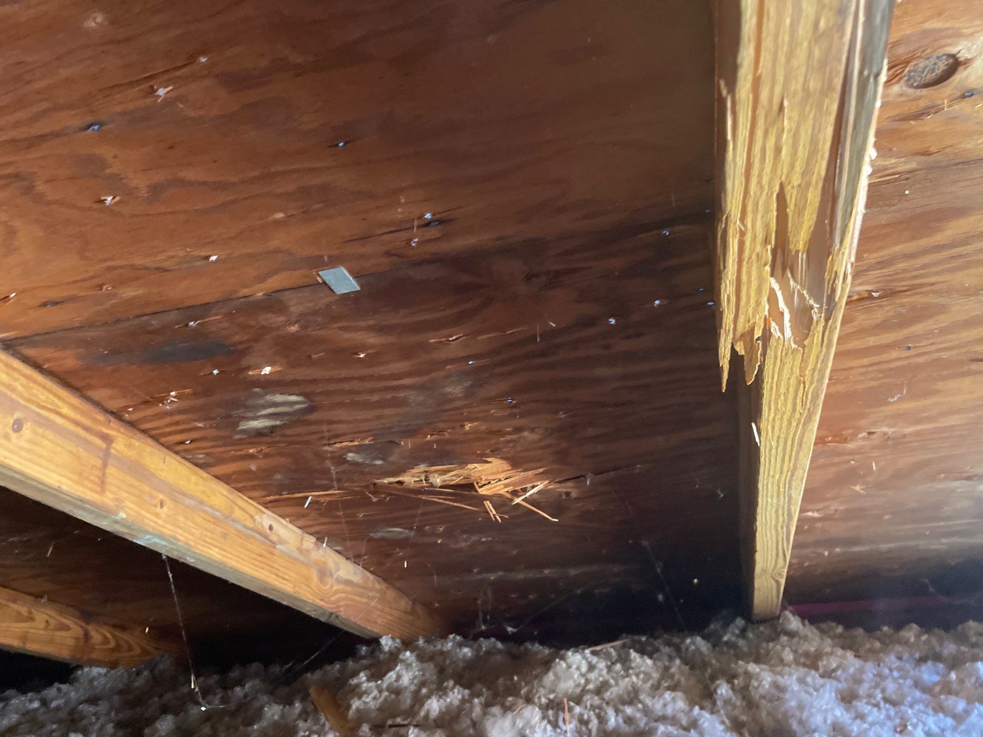 Project in Randallstown, MD by Restoration services