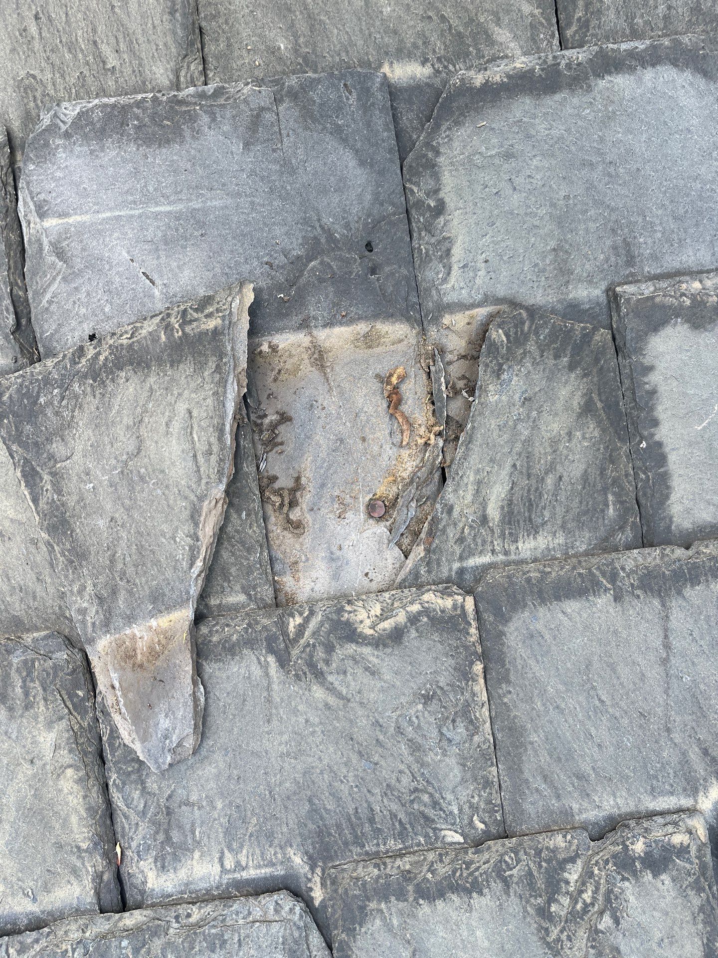 Arlington: Buckingham Slate and Carlisle Syntec TPO Roof by RM Banning, Inc.