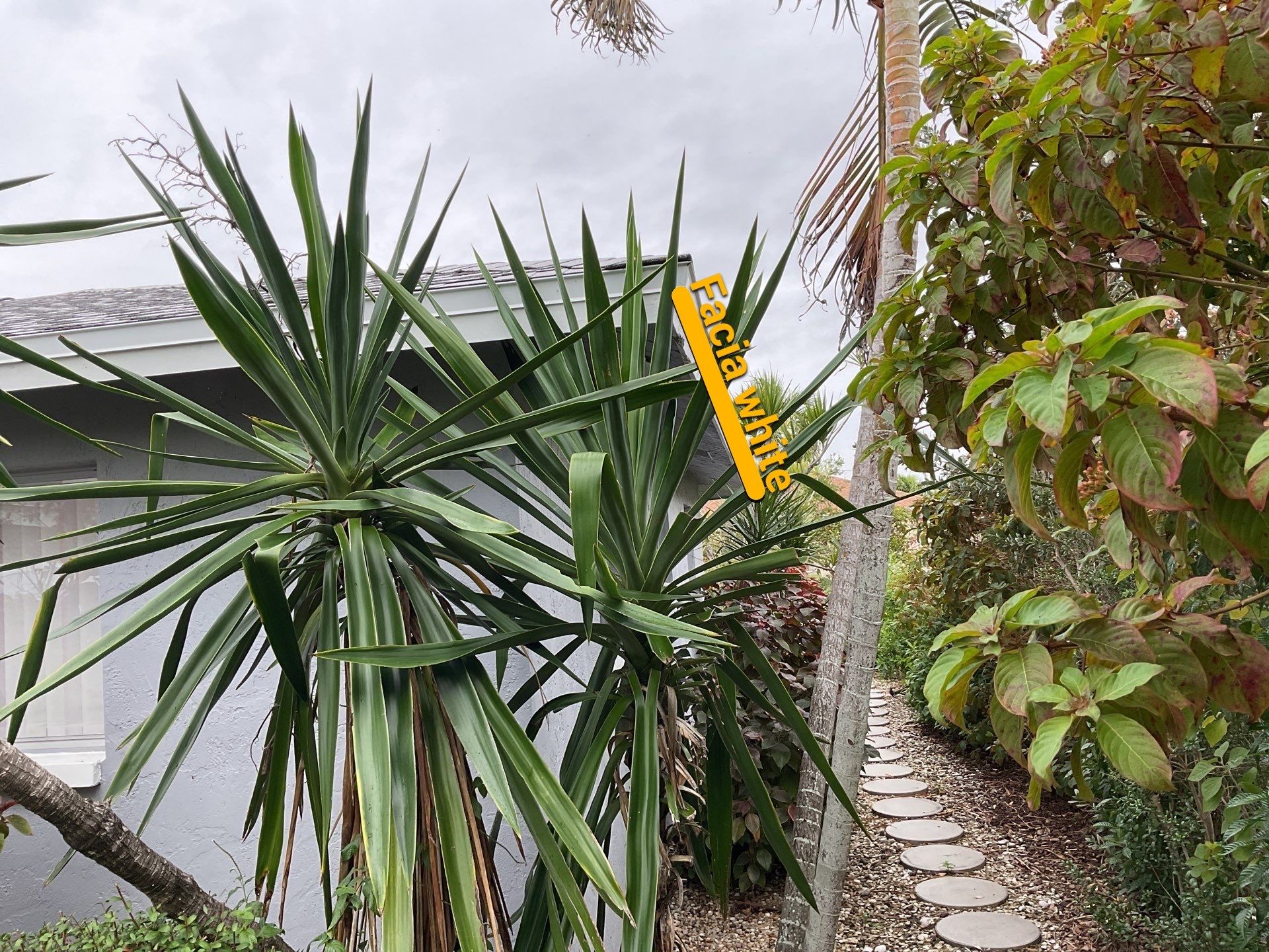 Gutter Repair and Cleaning in Cape Coral FL by Gutter Professors