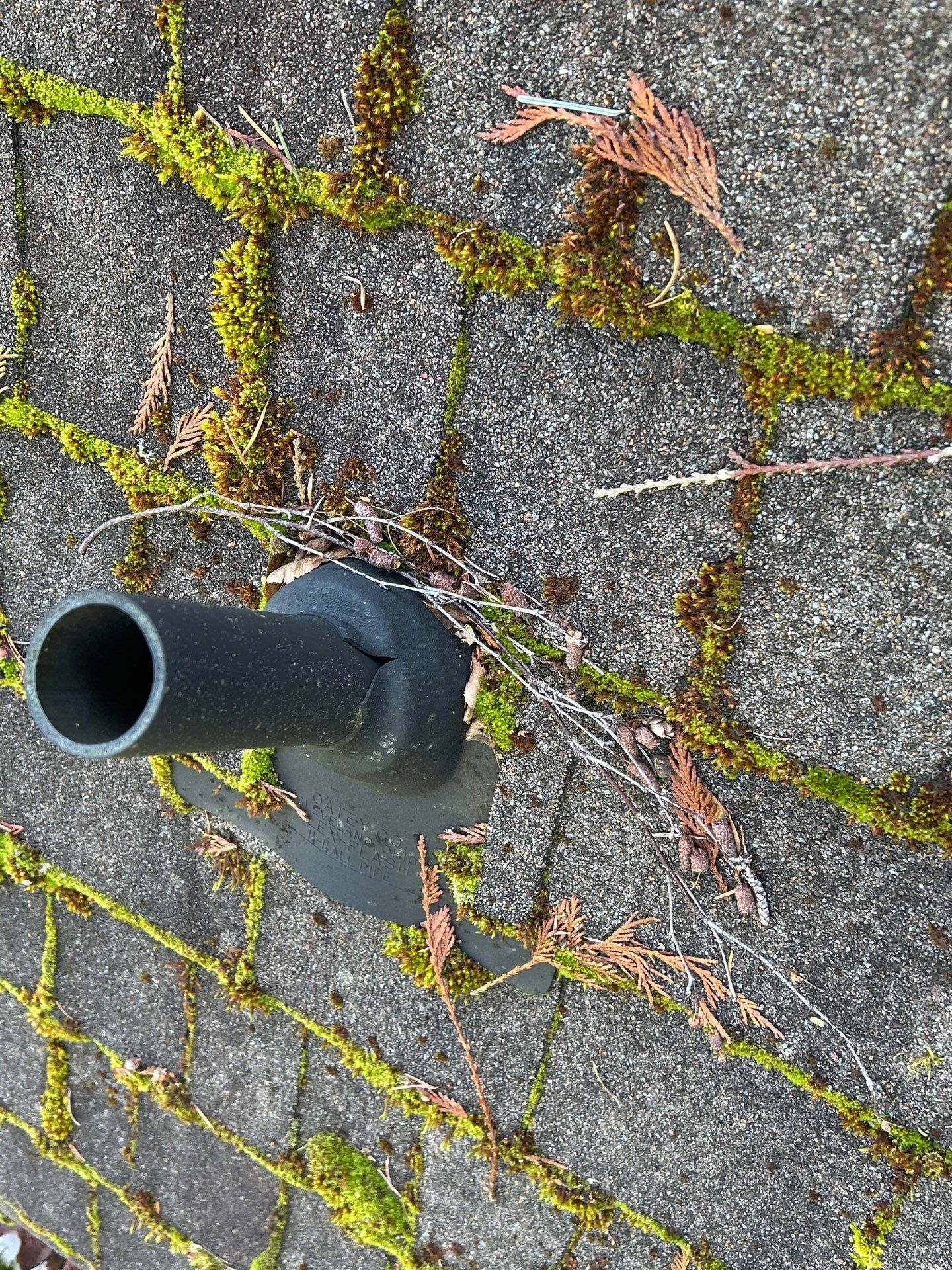 Project in Mount Vernon by Connolly Construction Company