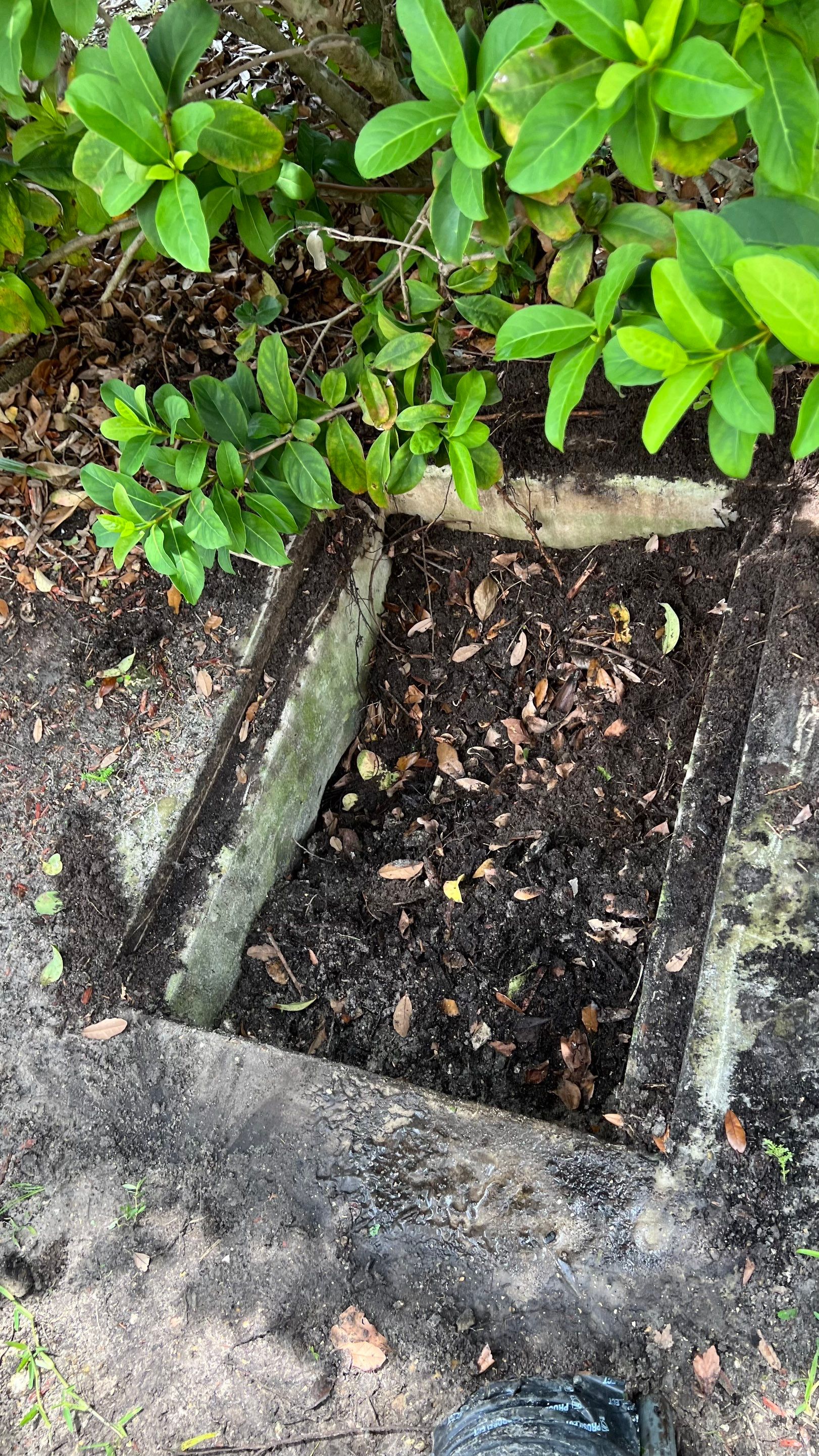 Condo Storm Water System Maintenance by APS Power & Water
