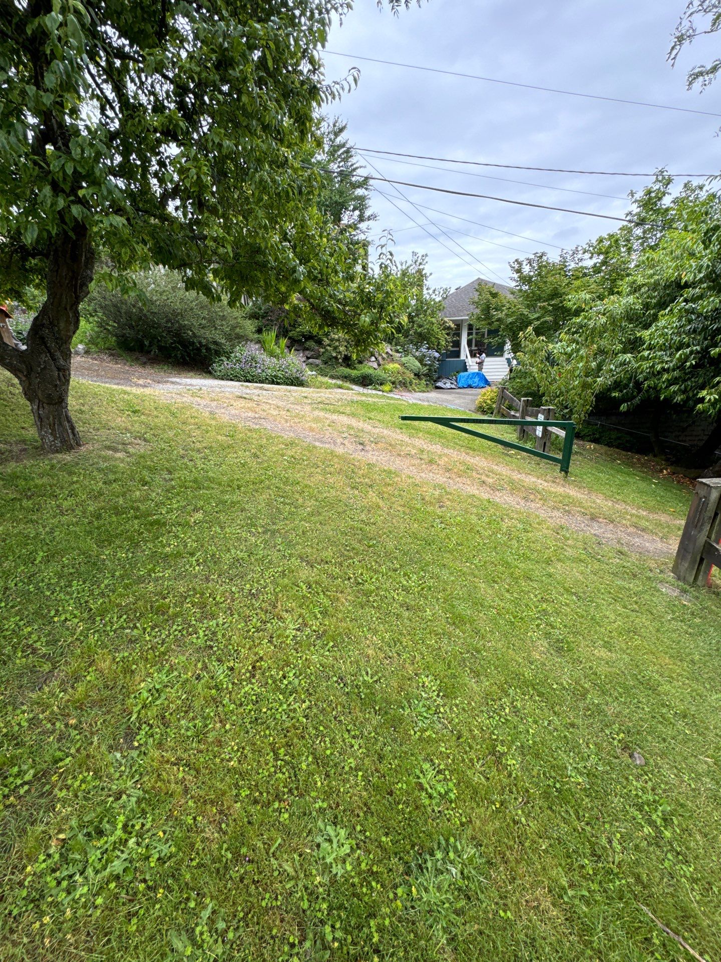 Project in Seattle by Connolly Construction Company