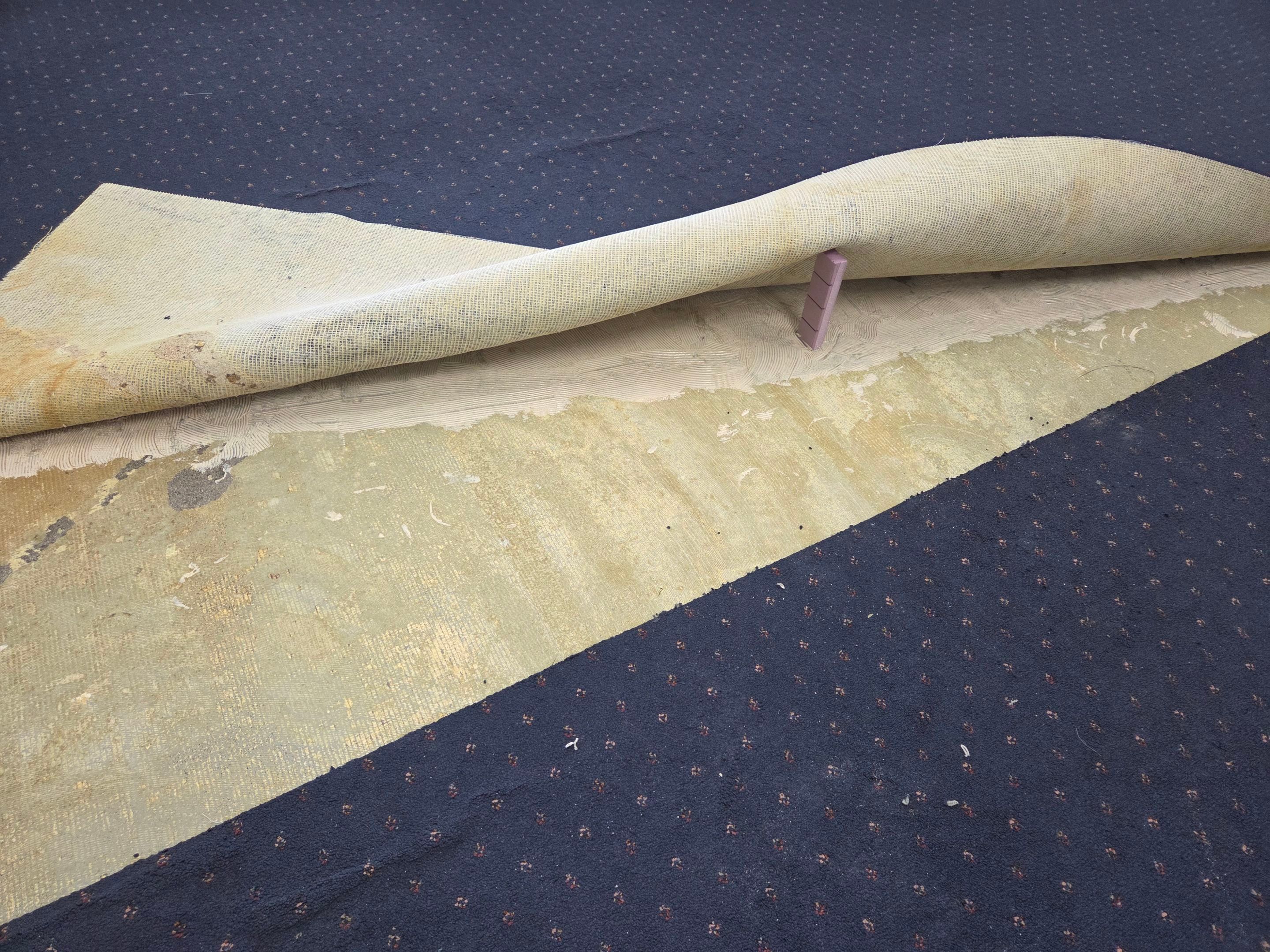 Repair of Buckling, Commercial Glue-down Carpet  by Ardent Carpet Restore LLC