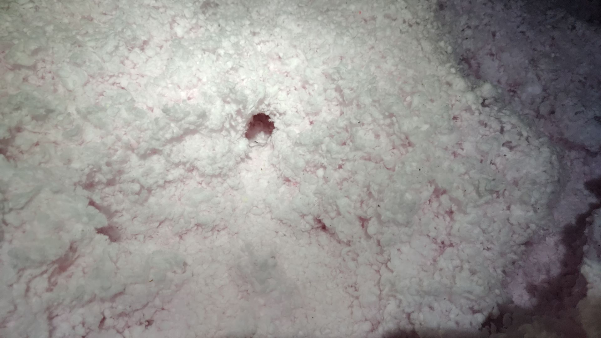 Roof Replacement using Owens Corning Aged Copper by 180 Contractors