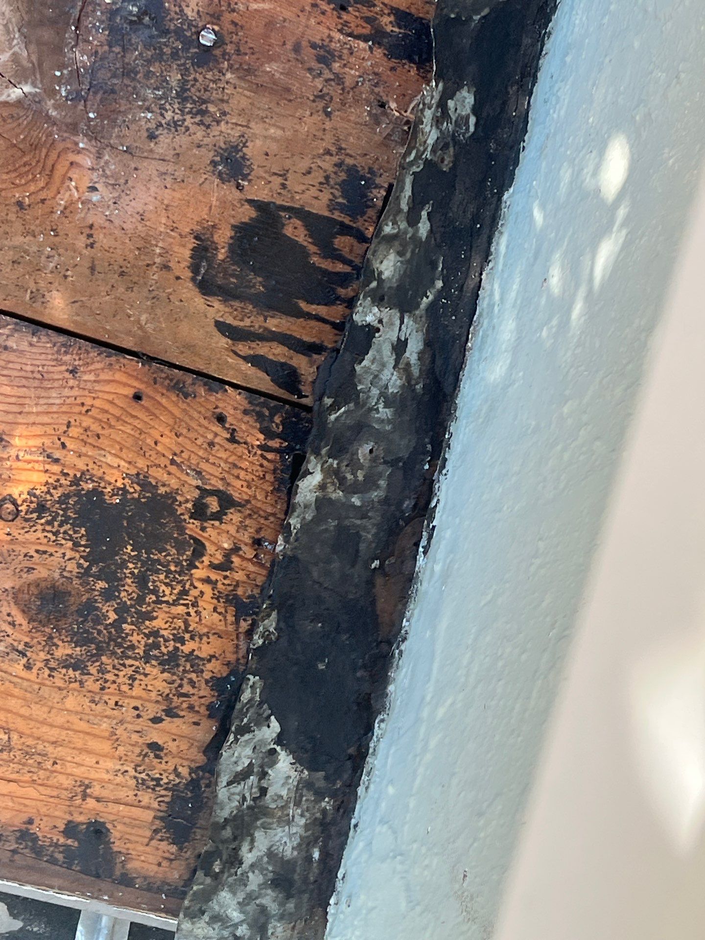 Project in St. Petersburg 33710 by Mitchell Roofing Company LLC 