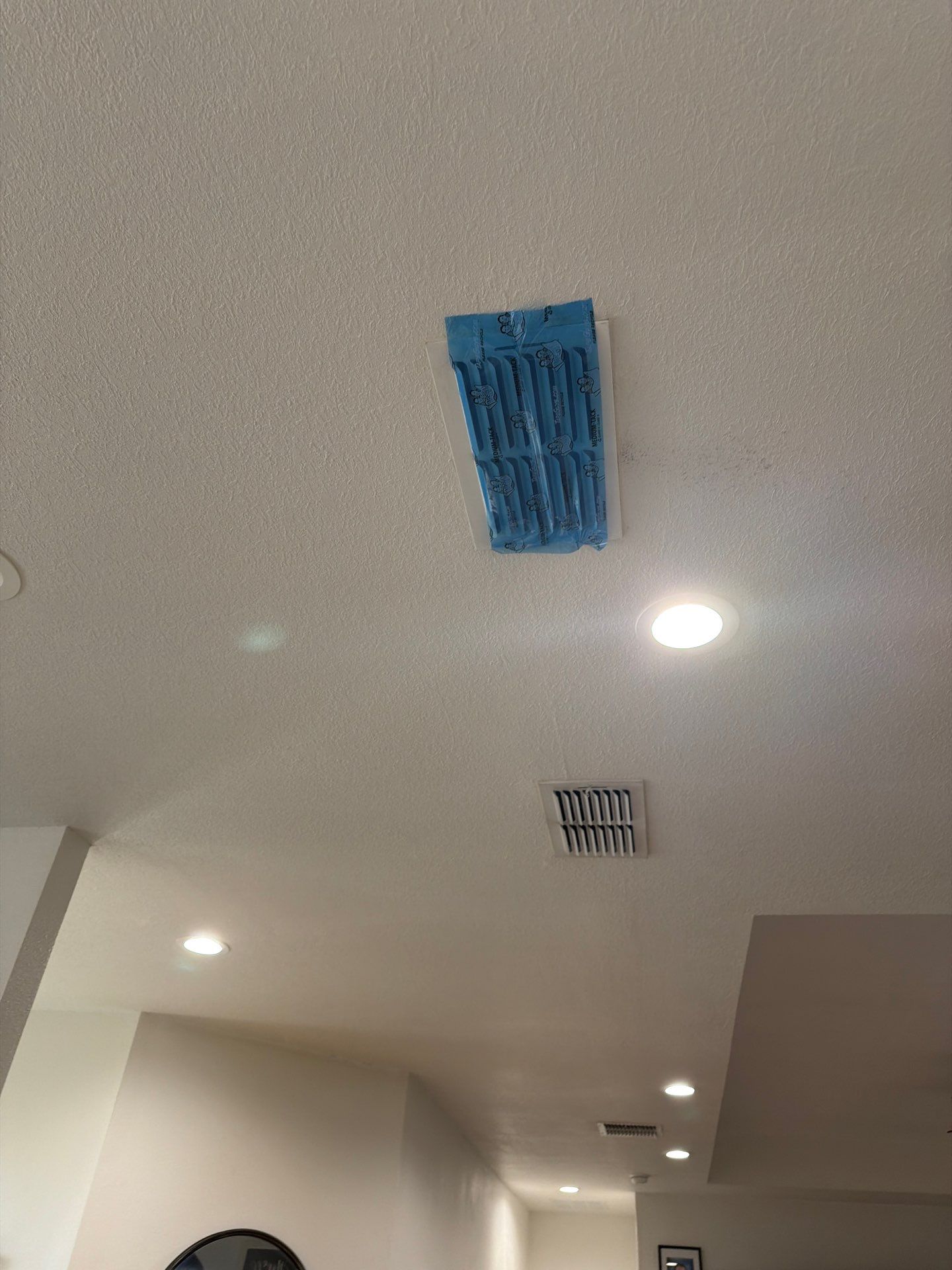 Air Duct Cleaning in Clermont by Hygienic Air, Inc