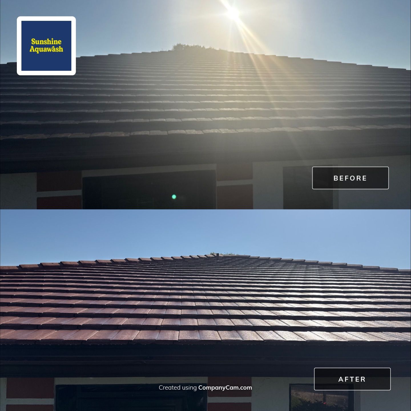 Tile Roof Cleaning – Vivenda at Bradenton I (5-Star Review & Plant Protection) by Sunshine AquaWash