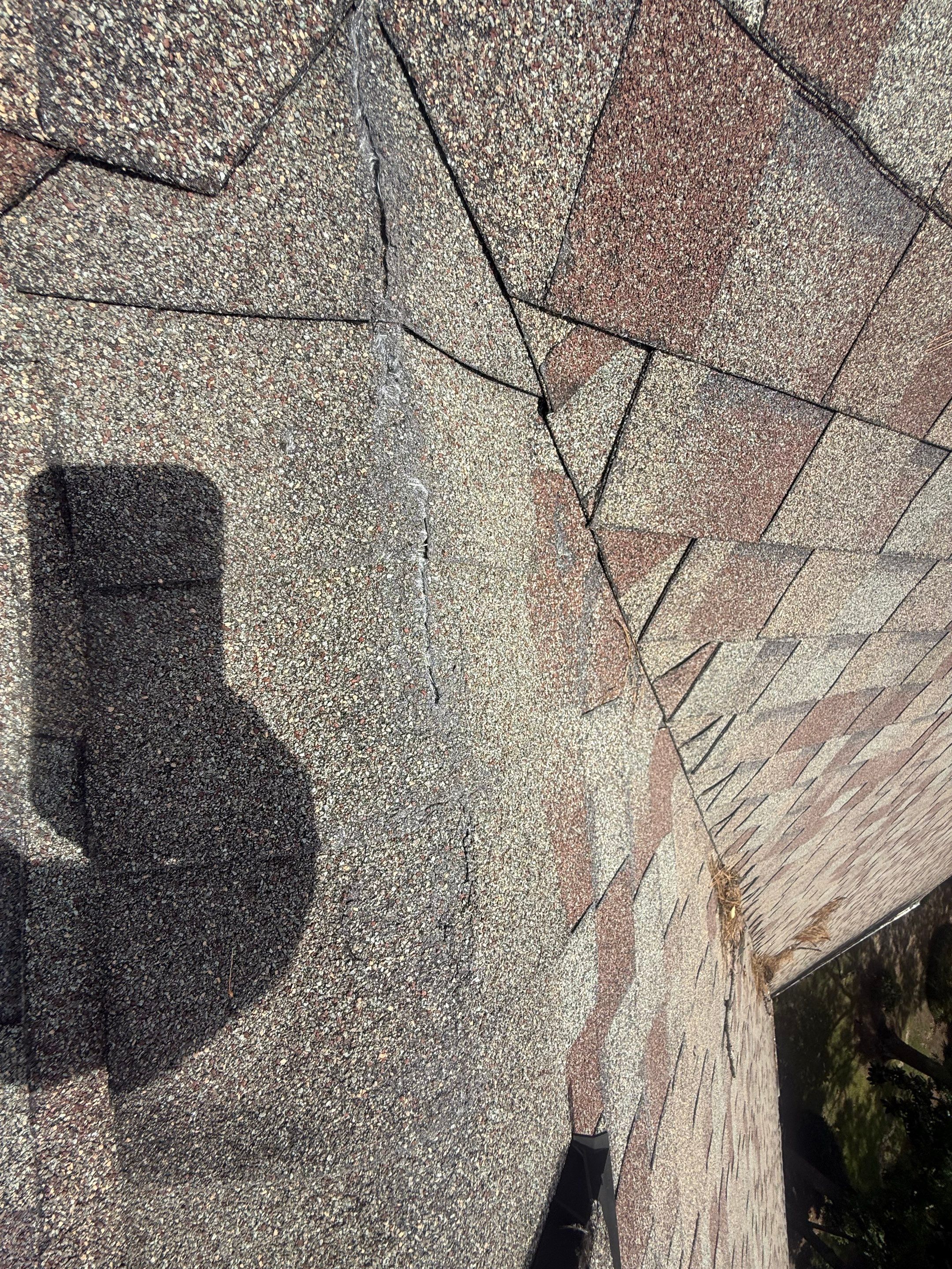 Roof Repair Spring by Roof Repair Company