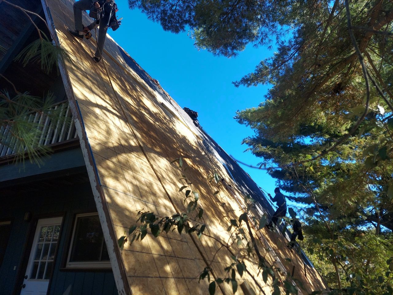 Residential Roofing Install - Atlas Pinnacle Pristine Shingles - Color Majestic Shake  by Titan Commercial & Residential Roofing 