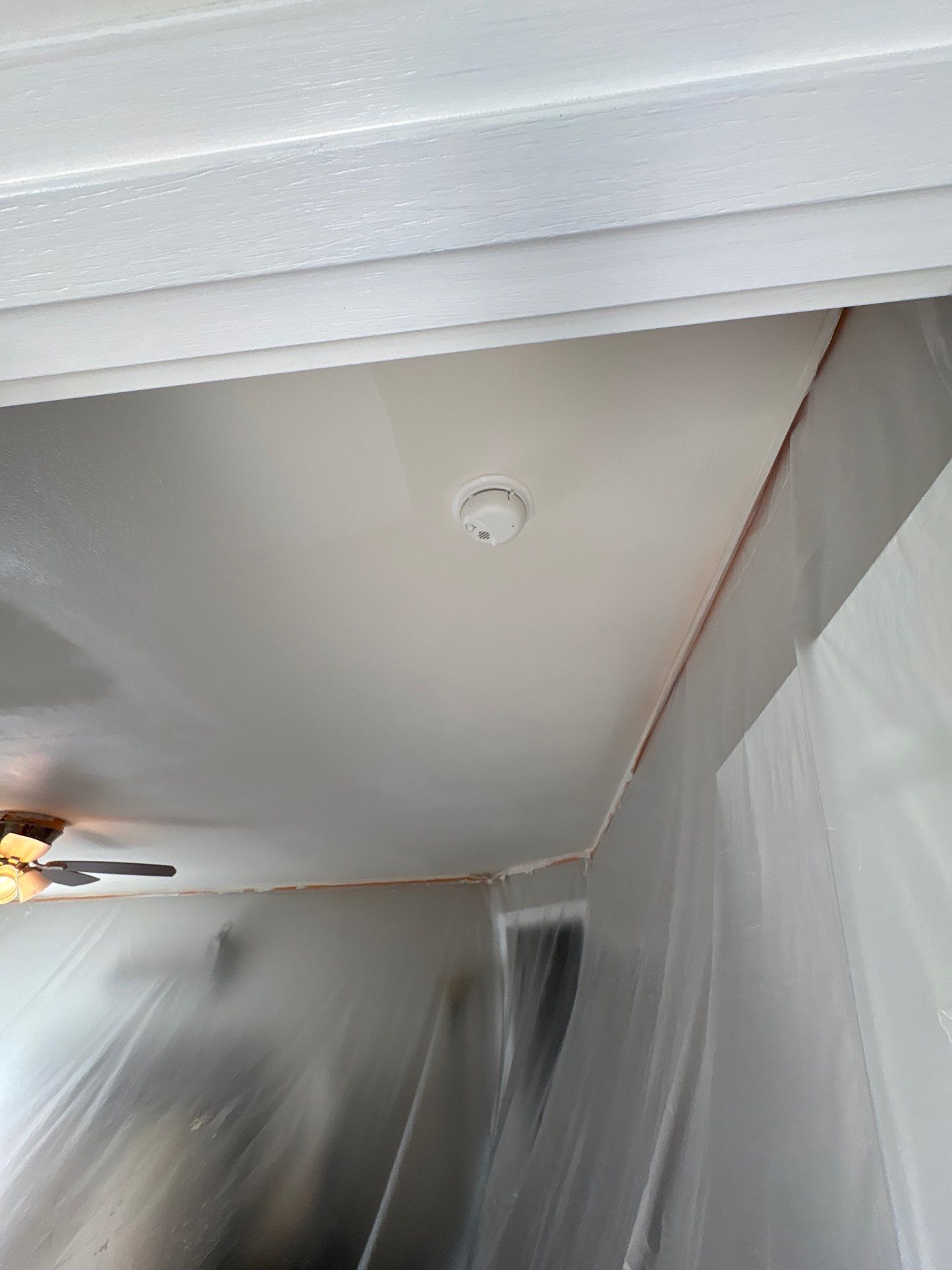 Puyallup Water Damage Roof Replacement  by Proline Roofing & Restoration LLC