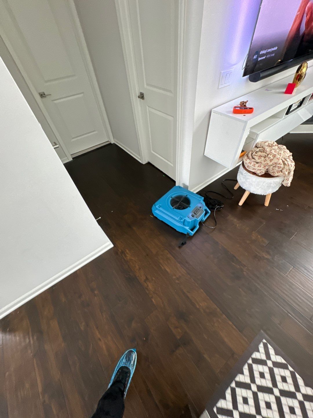 Project in South Lyon by EzDry Water Mitigation & Property Restoration