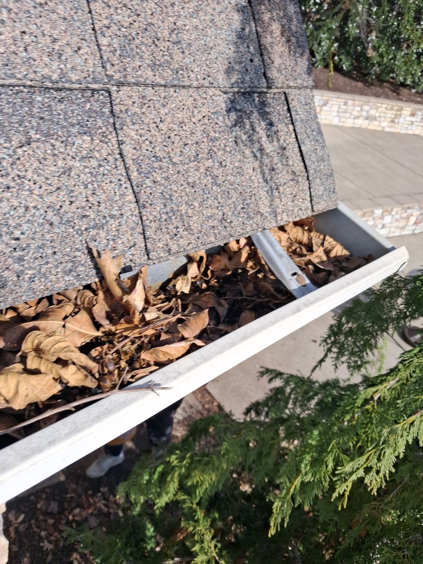 Commercial gutter cleaning Spring Hill, TN before photo with filled gutters