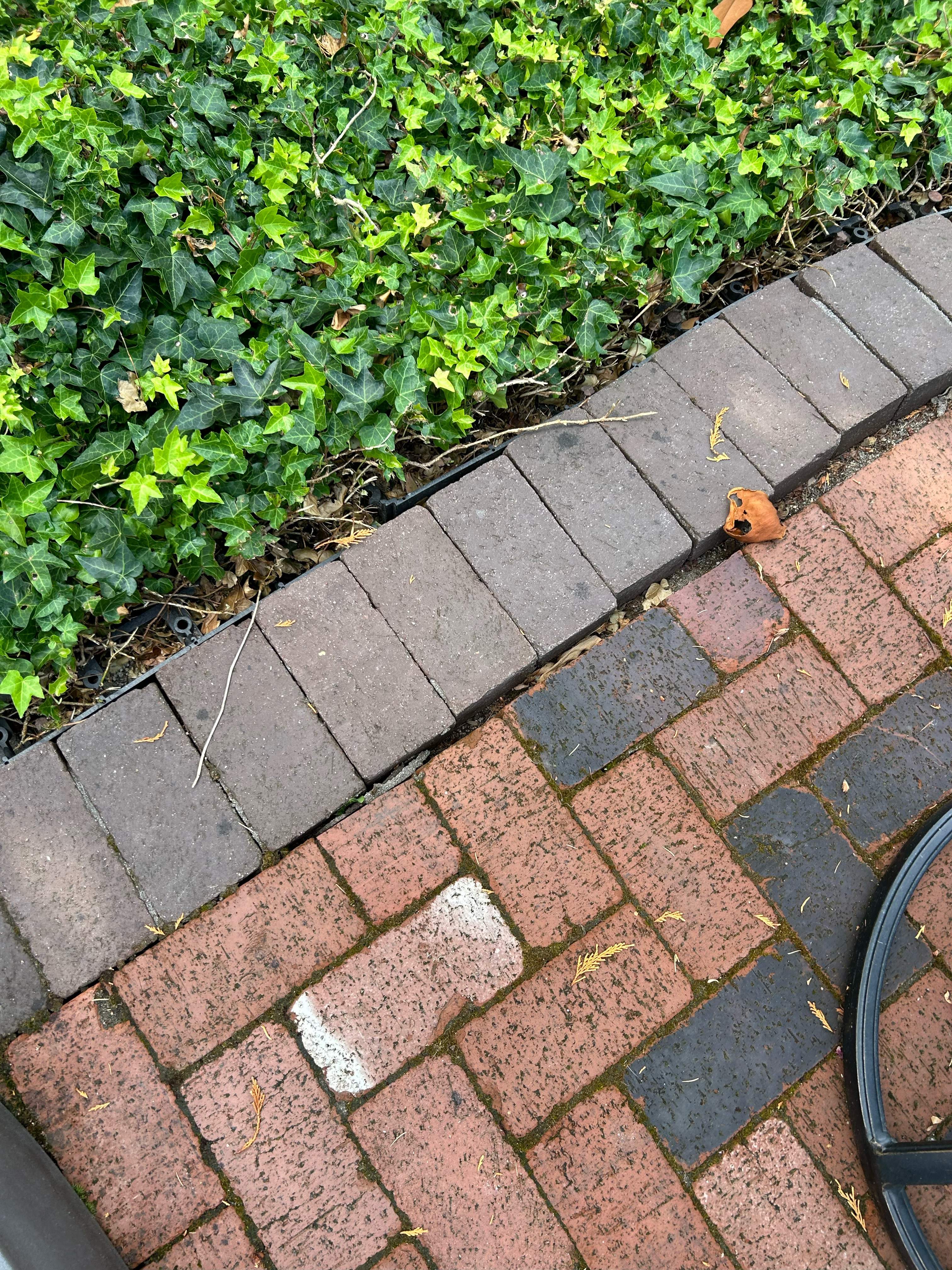 Edmonds Brick Patio Renovation by Jireh Asphalt & Concrete Inc 